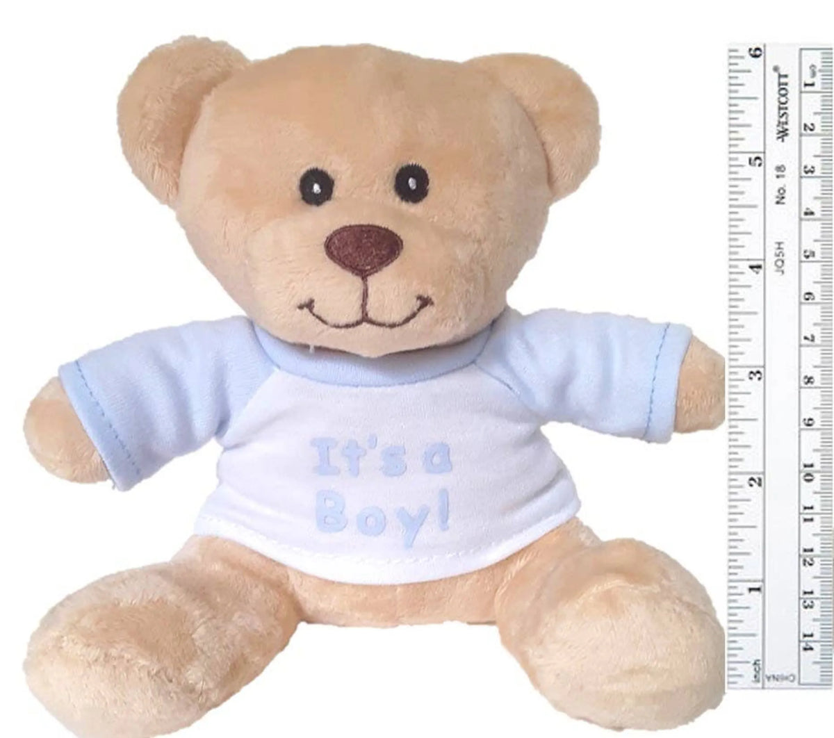 "It's a Boy/Girl!" Small & Super Cute Teddy Bear