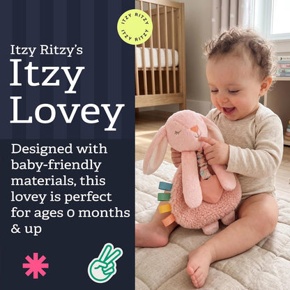 Itzy Ritzy Lovey Including Teether, Teething Relief, 0+ Months (Pink Bunny)