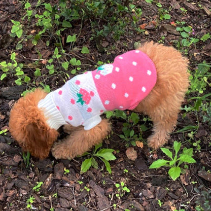 Dog Sweaters Classic Knitwear, Turtleneck Winter Warm Pet Puppy Clothes