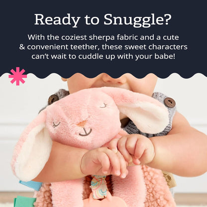 Itzy Ritzy Lovey Including Teether, Teething Relief, 0+ Months (Pink Bunny)