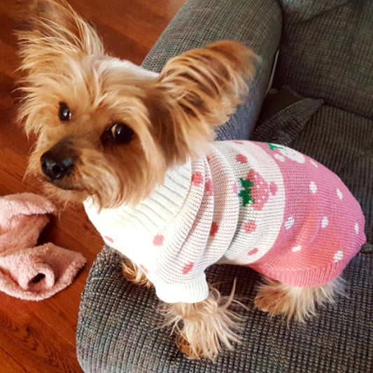 Dog Sweaters Classic Knitwear, Turtleneck Winter Warm Pet Puppy Clothes