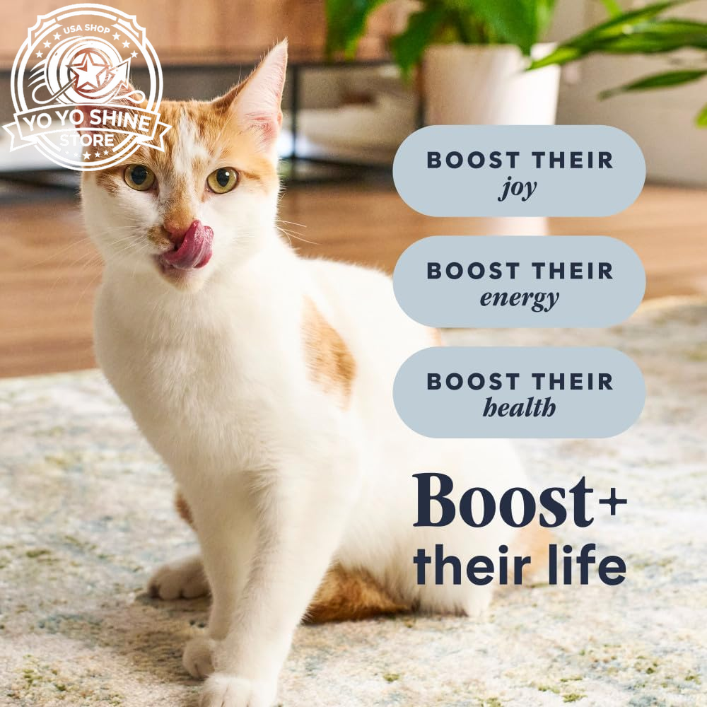 Rawboost, Dry Cat Food + Freeze Dried, Real Chicken, 10 Lb Bag