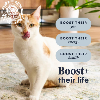 Rawboost, Dry Cat Food + Freeze Dried, Real Chicken, 10 Lb Bag