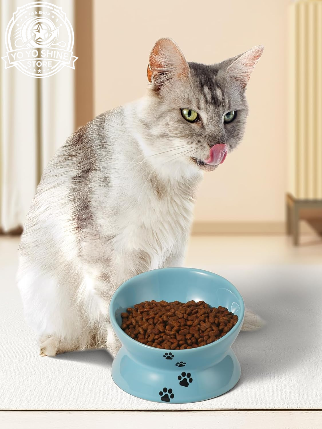 Elevated Cat Food Bowl, Ceramic Raised Bowl, Tilt Angle Protects Cat'S Spine, anti Vomiting Dish, Backflow Prevention, Lake Blue