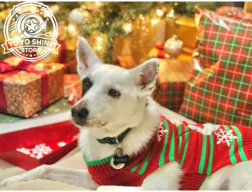 Dog Snow Sweater - Snowman Holiday Pet Clothes for Small Dogs and Cats - Christmas Xmas New Year (Snowman, M)