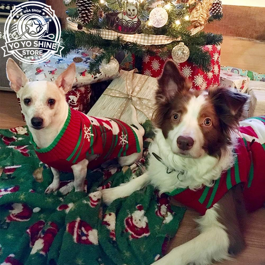 Dog Snow Sweater - Snowman Holiday Pet Clothes for Small Dogs and Cats - Christmas Xmas New Year (Snowman, M)
