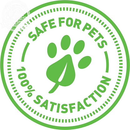 (3 Count) Fish Flop Crinkle Catnip Cat Toys - Multi Color, 3 Count